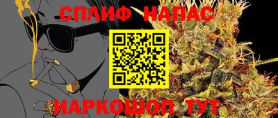 СК Коммунар